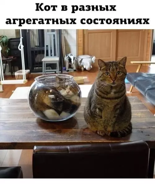 Смешная картинка №699827