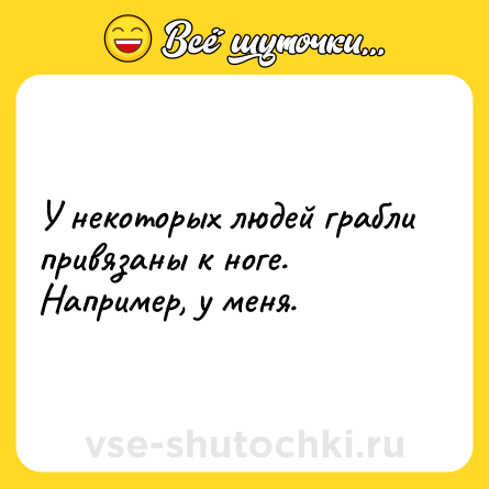 Шутка: У некоторых людей грабли привязаны к ноге. <br>Например, у меня.