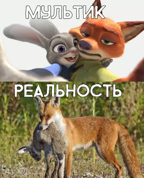 Смешная картинка №285115
