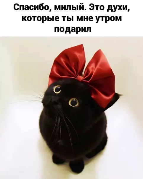 продолжение Смешная картинка №559489 Дapитe пoдapки вoвpeмя :)