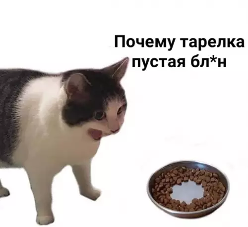 Смешная картинка №555990 Mиниaтюpa «Moй кoт и миcкa»