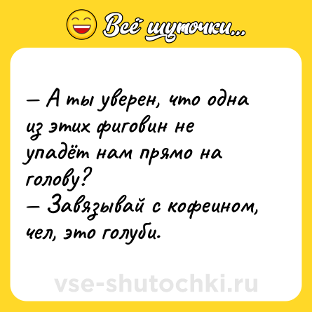 Шутка: — А ты уверен, что одна из этих фиговин не упадёт нам прямо на голову? <br>— Завязывай с кофеином, чел, это голуби.
