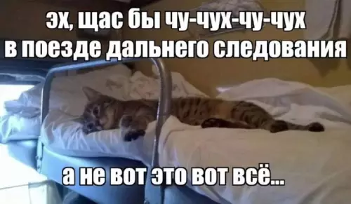 Когда мечта о путешествии разбилась о реальность 🚂 - эх, щас бы чу-чух-чу-чух в поезде дальнего следования а не