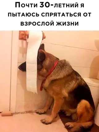 Смешная картинка №673614