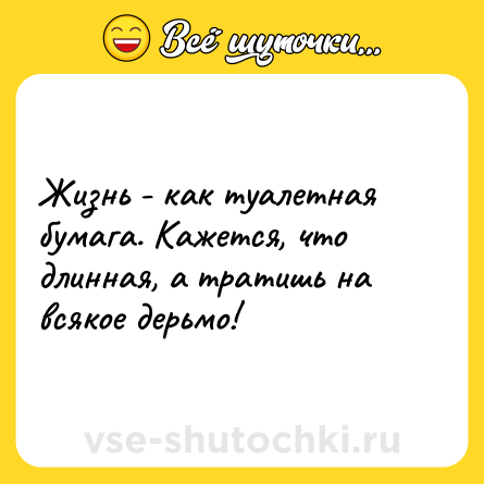 Шутка: Жизнь - как туалетная бумага. Кажется, что длинная, а тратишь на всякое дерьмо!