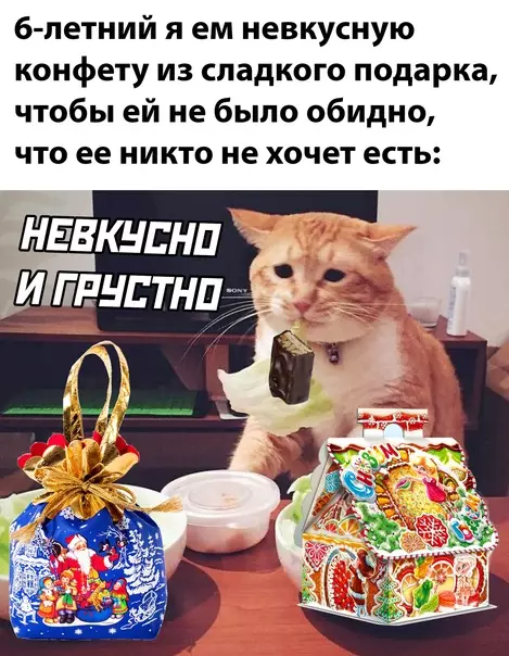 Смешная картинка №621999