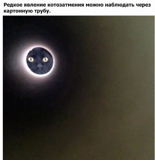 Смешная картинка №245414