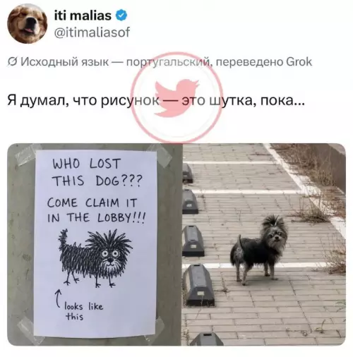 Когда художник превзошел ожидания 🐶😂 - WHO LOST THIS DOG??? COME CLAIM IT IN THE LOBBY!!!