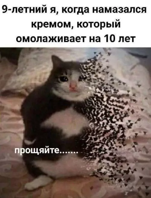 Смешная картинка №780990