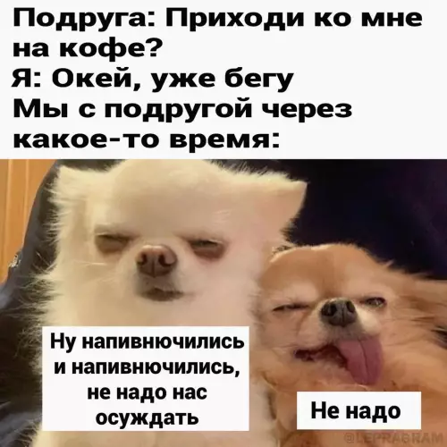 Смешная картинка №746615