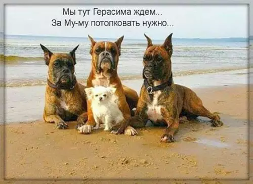 Смешная картинка №233987