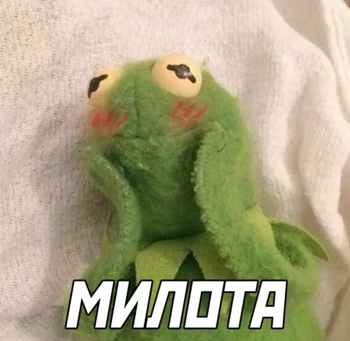 продолжение Смешная картинка №660147 Тот самый друг, который постоянно портит фотки: собаки