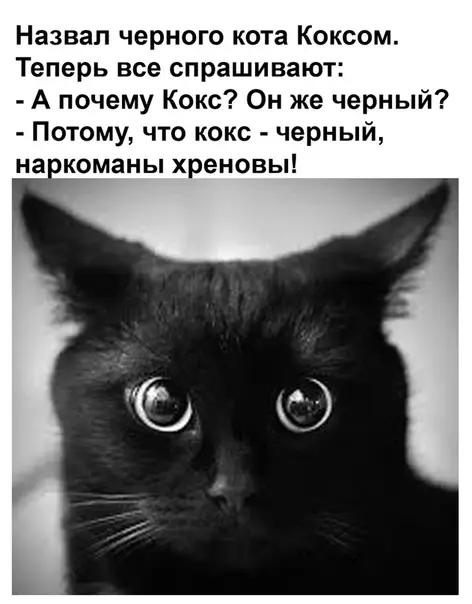Смешная картинка №504533 Игра слов