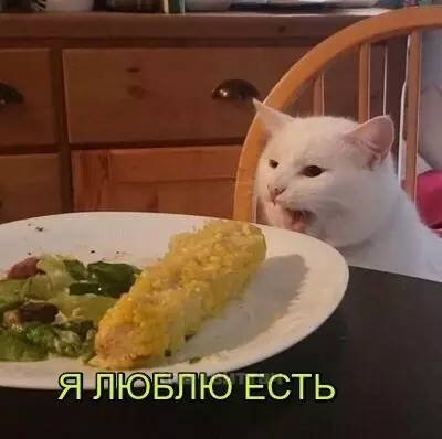 Смешная картинка №384901 Кто-то: - Расскажи, чем ты увлекаешься
Я: -