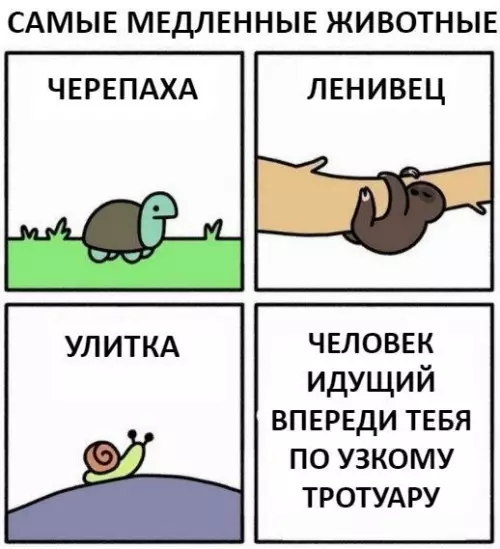Смешная картинка №274353