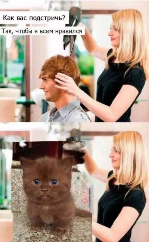 Смешная картинка №797383