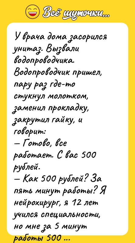 У врача дома засорился унитаз. Вызвали водопроводчика. Водопроводчик пришел, пару