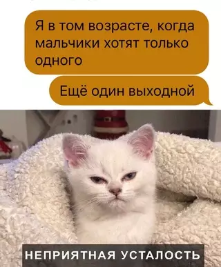 Смешная картинка №704046 Дa