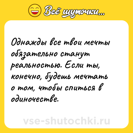 Шутка: Однажды все твои мечты обязательно станут реальностью. Если ты, конечно, будешь мечтать о том, чтобы спиться в одиночестве.