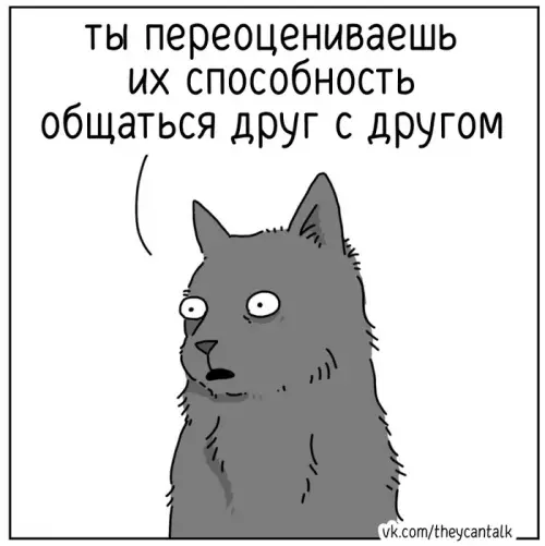 продолжение Смешная картинка №770572 Про котов