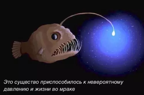 Смешная картинка №705240 Кто-то: почему ты не увольняешься со своей работы, если тебе там не нравится?

Я: