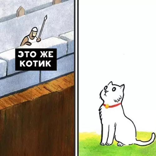 Смешная картинка №516073 Ох уж эти котики.. кошки