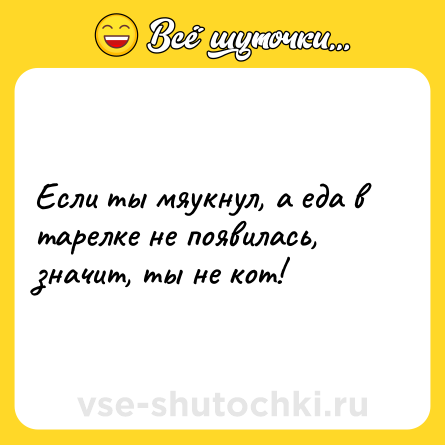 Шутка: Если ты мяукнул, а еда в тарелке не появилась, значит, ты не кот!