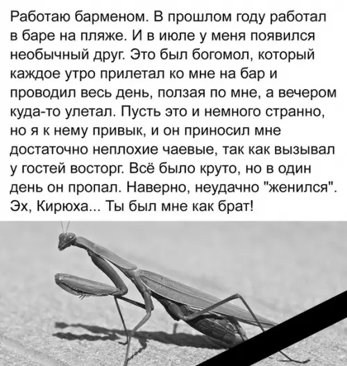 Смешная картинка №296111