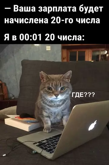 Смешная картинка №767173