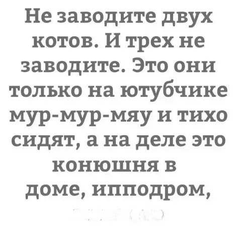 Смешная картинка №271347