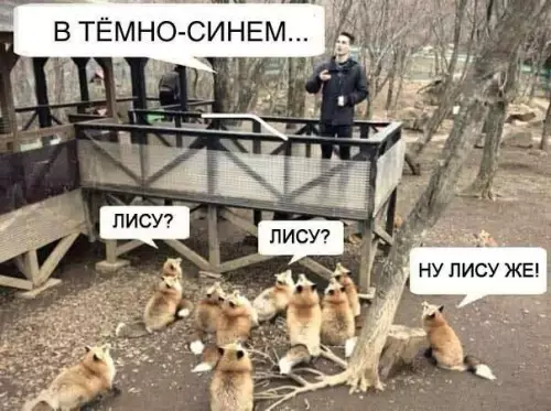 Смешная картинка №727430 животные
