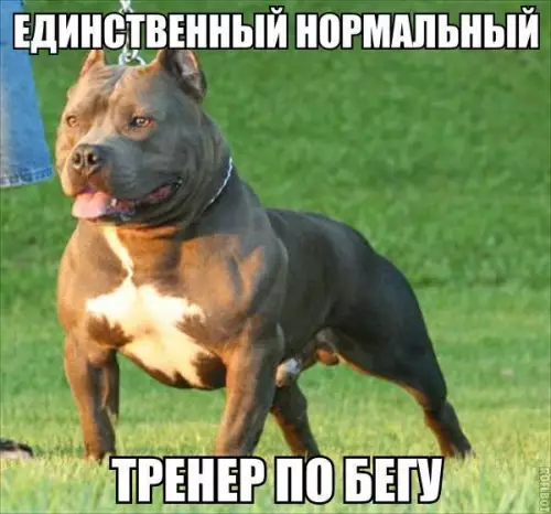 Смешная картинка №238801