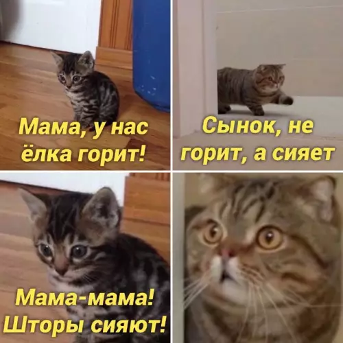Смешная картинка №669945