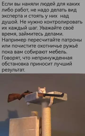 Смешная картинка №780329 Совет дня