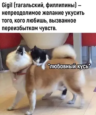 Смешная картинка №686921