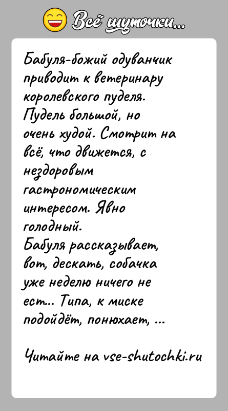История: Бабуля-божий одуванчик приводит к ветеринару королевского пуделя. Пудель большой, но очень худой. Смотрит на всё, что движется, с нездоровым гастрономическим