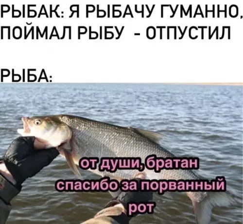 Смешная картинка №595087 Вся суть рыбалки