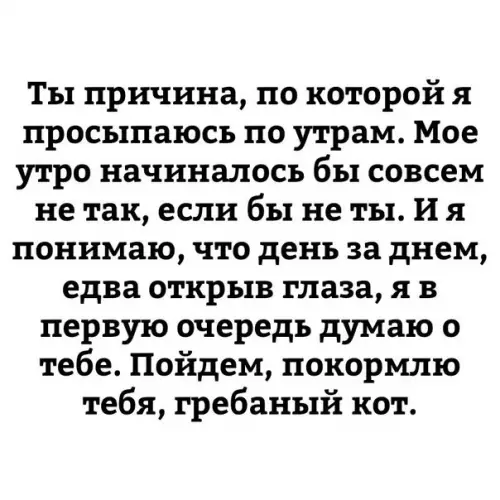 Смешная картинка №214085