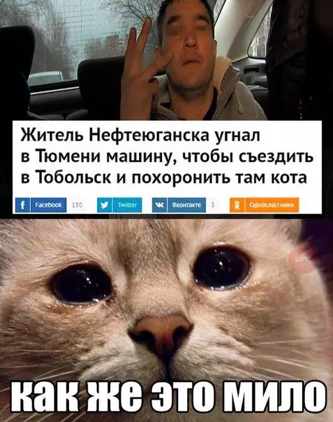 Смешная картинка №265687