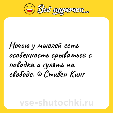Шутка: Ночью у мыслей есть особенность срываться с поводка и гулять на свободе. © Стивен Кинг