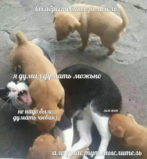 Смешная картинка №791252