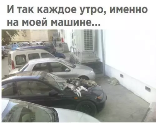 Смешная картинка №299522