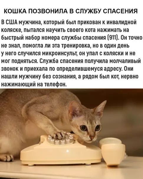 Смешная картинка №368083
