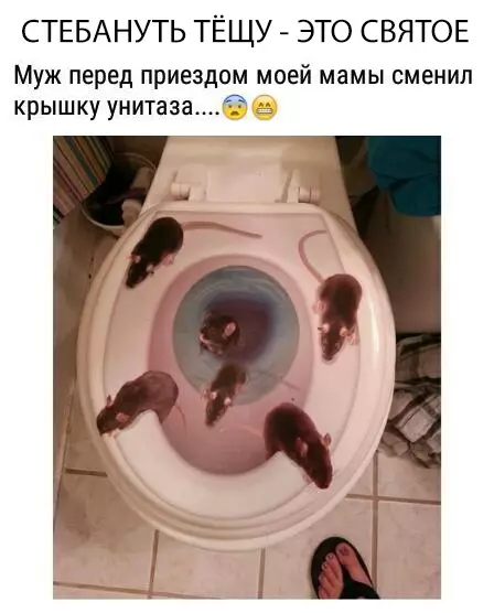 Смешная картинка №312441