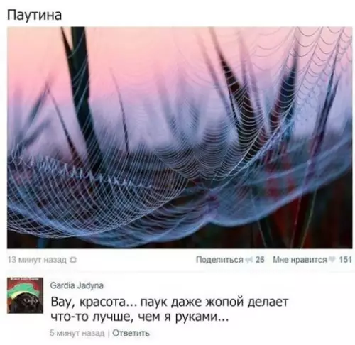 Смешная картинка №230962