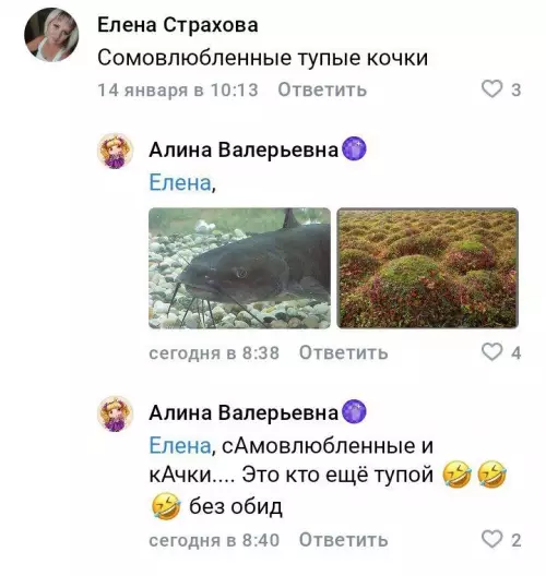 Когда каламбур зашел слишком далеко 🐟😂 - Елена Страхова: Сомолюбленные тупые кочки Алина Валерьевна: Елена, фото сома