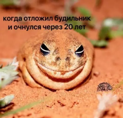 Смешная картинка №745296