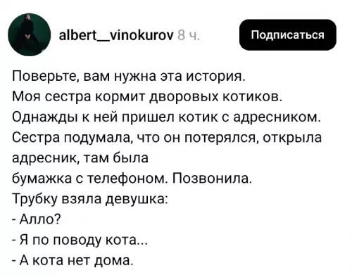Кот ушел в самоволку 😼 - Поверьте, вам нужна эта история. Моя сестра кормит дворовых котиков.