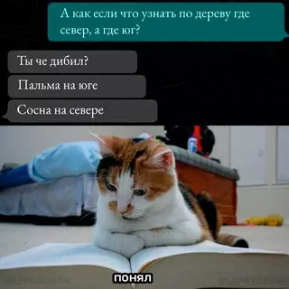 Смешная картинка №711751