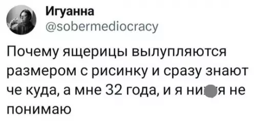 Смешная картинка №761343